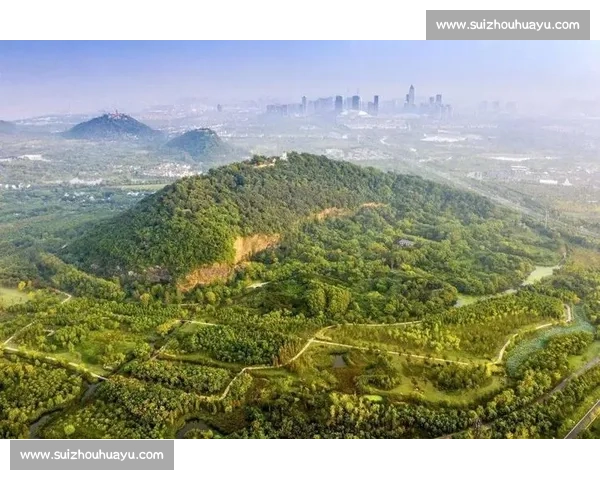 重阳享健康：全国通讯赛点亮秋日活力